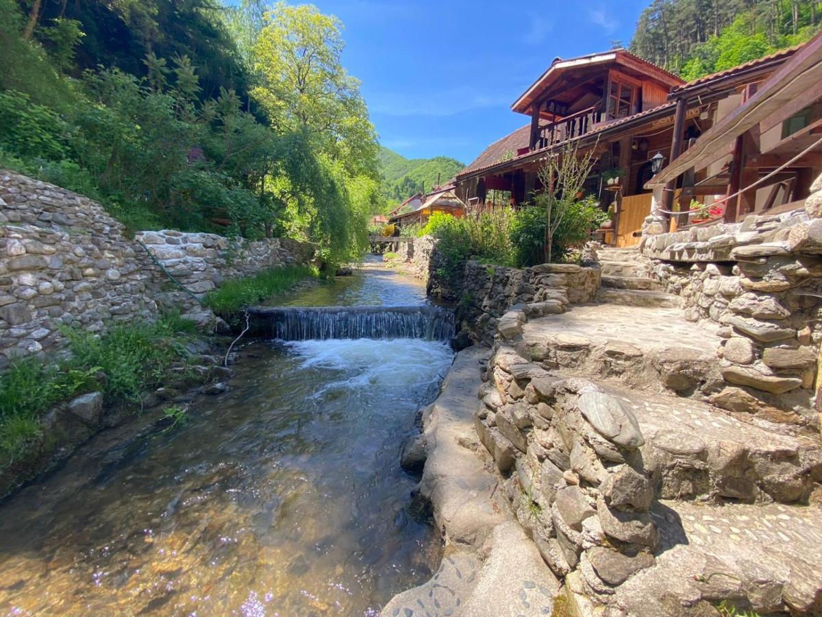 Pensiunea Mioritica Sibiel Exteriér fotografie