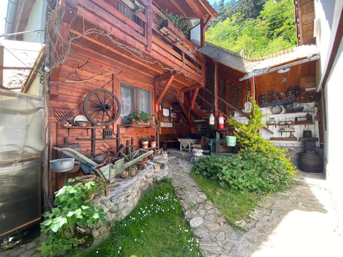 Pensiunea Mioritica Sibiel Exteriér fotografie